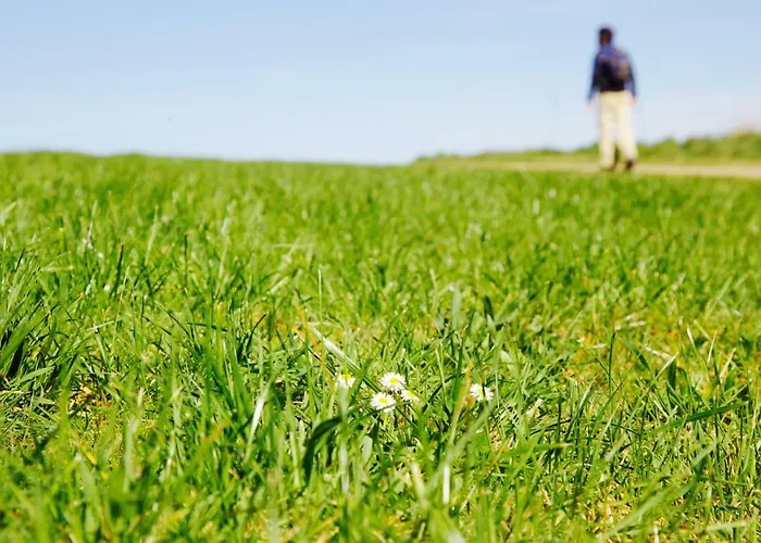 Hostel Ideas Peregrinas